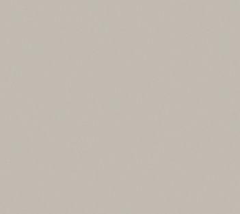 Soft Touch finish SH006